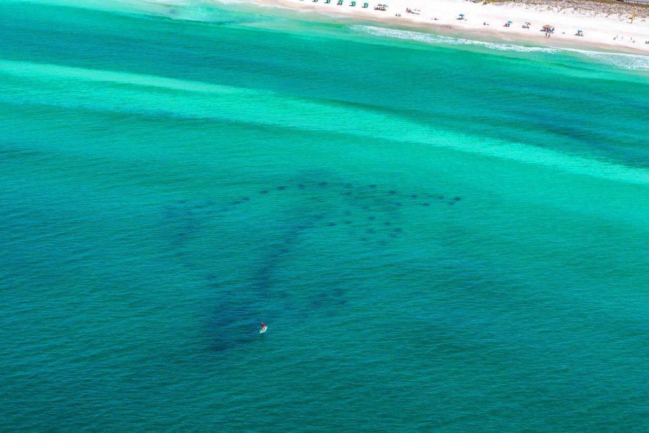 Apartmán Mainsail 176 Destin Exteriér fotografie